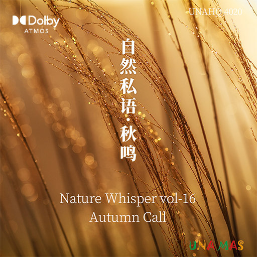 中中国妓女难爱预频
